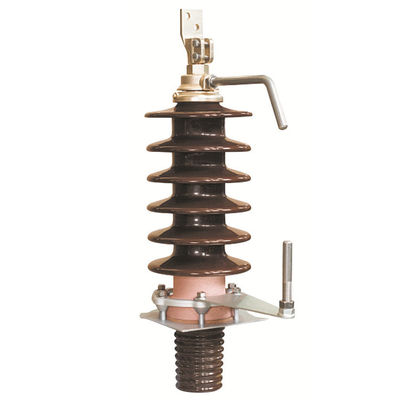 Transformateur électrique de porcelaine baguant 12-24-36KV avec le parafoudre Rod